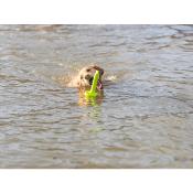  Jouet Flottant Aqua Toy Mot Aqua pour Chiens - Trixie