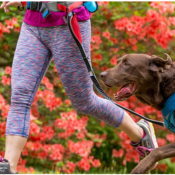 Laisse de Course Extensible légère pour Chien - Kurgo