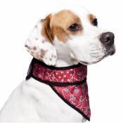 Bandana Rafraîchissant pour Chien - Aqua Coolkeeper