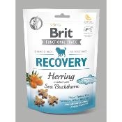 Snack Brit - Récupération Hareng & Baies d'Argousier 