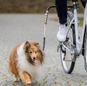 Biker Set pour Chien - Trixie