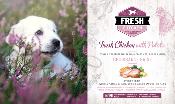 Brit Fresh Puppy - Poulet et Pomme de Terre