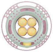 Circle Kitten Rond - Jouets pour Chats