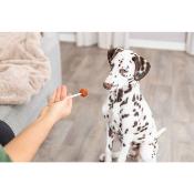 Lolly au Cabillaud et Peau de Buffle pour Chiens 9 cm pour Chien - Trixie