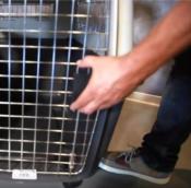 Cage de Transport pour Chien et Chat Kennel Taille 2, XS