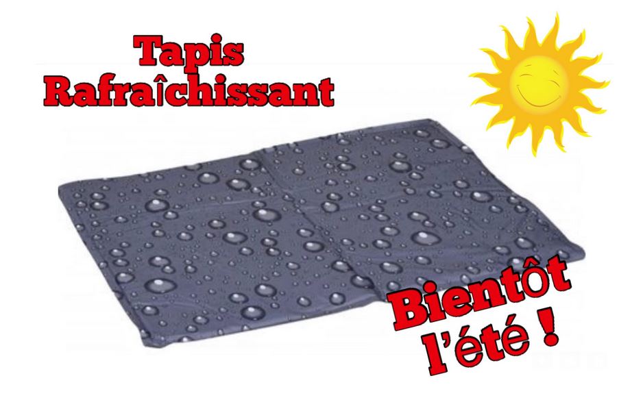 tapis rafraichissant