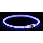 Collier Lumineux Bleu Flash USB pour Chien - Trixie