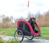 Remorque Vélo pour Chien Rouge Taille L - Trixie