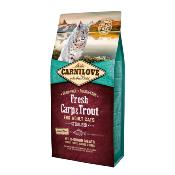 Carnilove Chats Adult Fresh 6 kg - Carpe & Truite