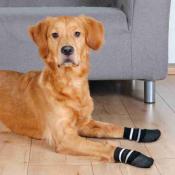 Chaussettes de Protection pour Chiens Antidérapantes