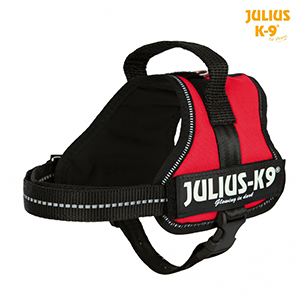 Harnais pour Chien - JULIUS K-9 - Rouge