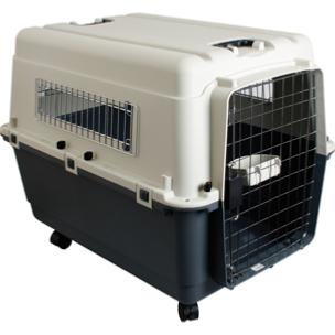 Cage de transport sales a roulette pour chat