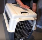 Cage de Transport pour Chien Kennel taille 7, XXL