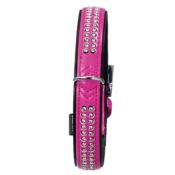 Collier Simili Cuir pour Chien Orné de Strass 2 rangs