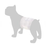 Couches pour Chiens Mâles Dipy Noir x 12 Taille M