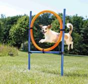 Anneau d'agility pour Chiens