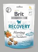 Snack Brit - Récupération Hareng & Baies d'Argousier 