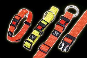 Collier Fluorescent et Réfléchissant pour Chien