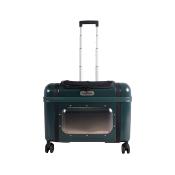 Trolley pour Animaux Lavada Vert - Ibiyaya