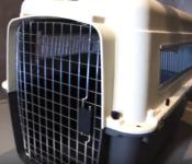 Cage de Transport pour Chien Kennel taille 7, XXL