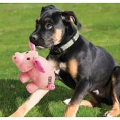 Kong Cochon - Jouet pour Chiens