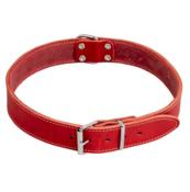 Collier Cuir Gras pour Chiens