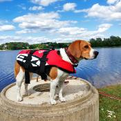 Gilets de Sauvetage Micro DFD pour Petit Chien - Ezydog