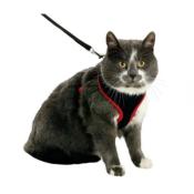 Harnais + Laisse  pour Chaton - Flamingo