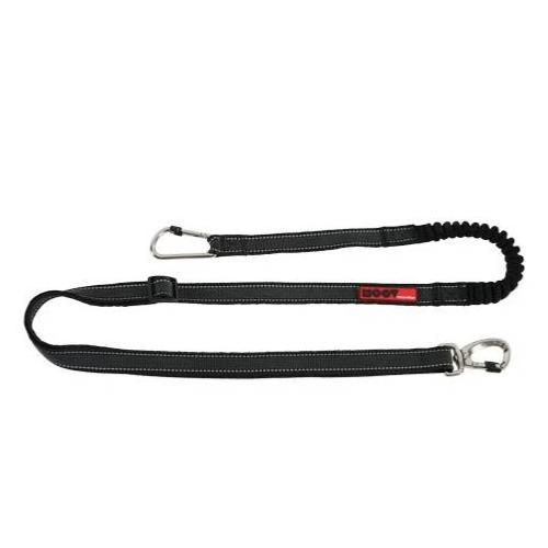 Ceinture ventrale avec porte accessoire et laisse noir