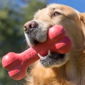 Kong Os  - Jouet pour Chiens