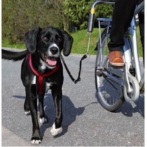 Biker Set pour Chien - Trixie