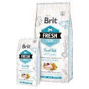 Brit Fresh Adult Grand Chiens - Poisson et Citrouille