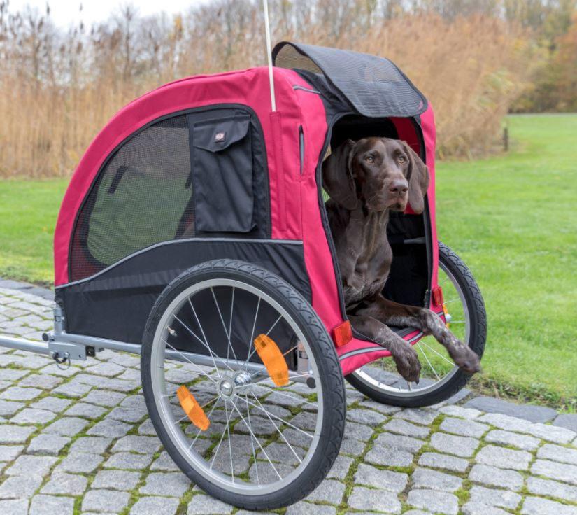 🐕 Remorque Vélo pour Chien - Trixie