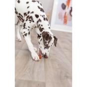 Lolly au Cabillaud et Peau de Buffle pour Chiens 9 cm pour Chien - Trixie