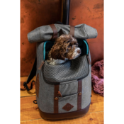 Sac à Dos K9 Rucksack Gris pour chien- Kurgo