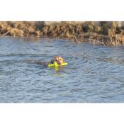  Jouet Flottant Aqua Toy Mot Aqua pour Chiens - Trixie