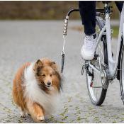 Biker Set pour Chien - Trixie