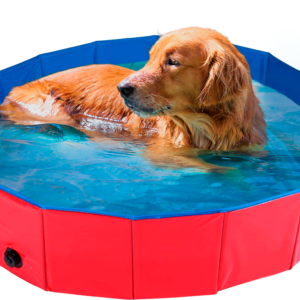 Piscine 100cm pour chiens-Animal Boulevard