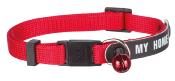 Collier avec Adresse pour Chats