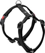 Harnais en Nylon pour Chien