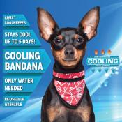 Bandana Rafraîchissant pour Chien - Aqua Coolkeeper