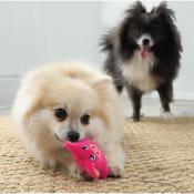 Kong Peluche Mini Cochon - Jouet pour Chiens