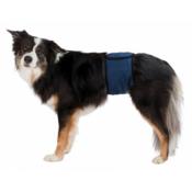 Serviettes Absorbantes pour Bande Ventrale pour Chien