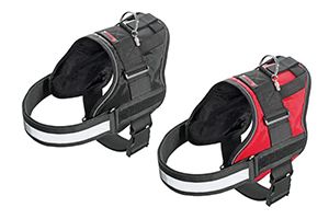 Harnais Sport en Téflon pour Chien