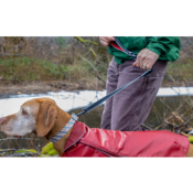 Laisse de Course Extensible légère pour Chien - Kurgo