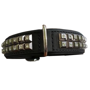Collier Cuir pour Chien Buffalo Rock