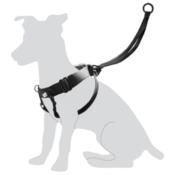 Easy Walker - Harnais Anti-Traction pour Chiens