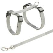 Harnais + Laisse Gris pour Chats