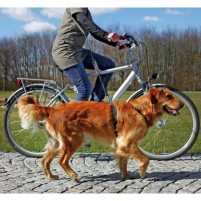 TRIXIE Ceinture de jogging pour chien avec laisse Gris et noir