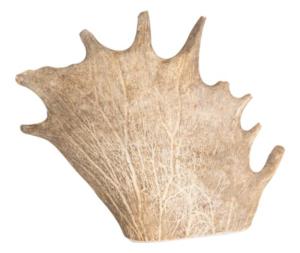 Bois de Daim à Mâcher pour Chien 